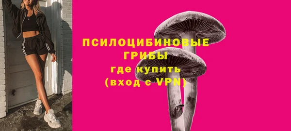сатива Вязники