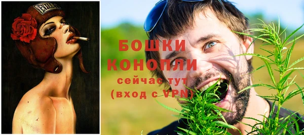 эйфоретик Вяземский