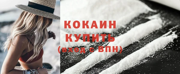 эйфоретик Вяземский